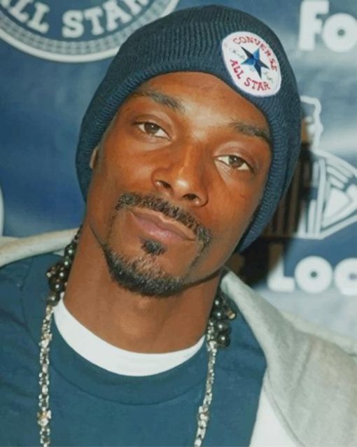 The Famous Rapper Snoop Dogg paint by numbers