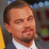 The Gorgeous Man Leonardo Dicaprio paint by numbers