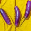 Three Eggplants painting by numbers