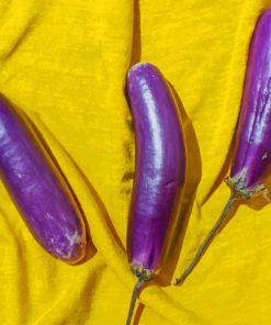 Three Eggplants painting by numbers