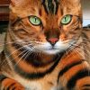 Tiger Cat paint by numbers