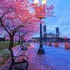 Aesthetic Cherry Blossom painting by numbers