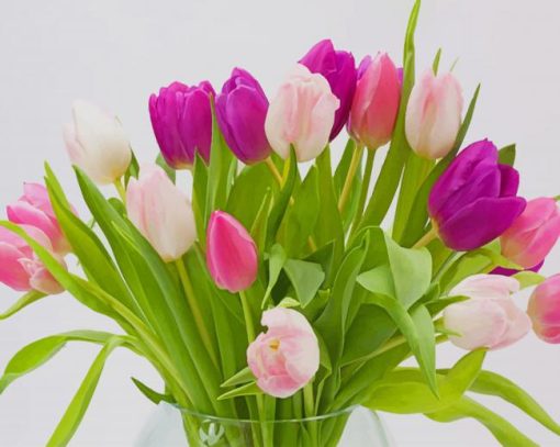 Pink Tulip Bouquet paint by number