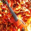 Violin Under Sunny Leaves paint by numbers
