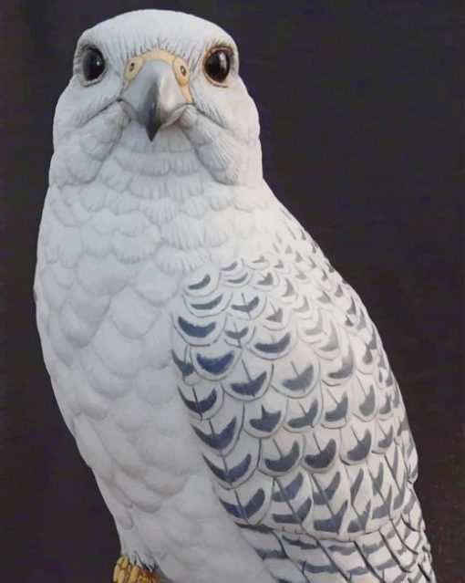 White Falcon Bird paint by numbers
