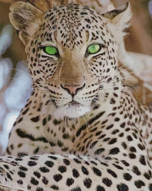 White Leopard paint by numbers