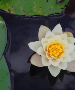 White Lotus paint by numbers