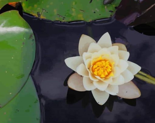 White Lotus paint by numbers