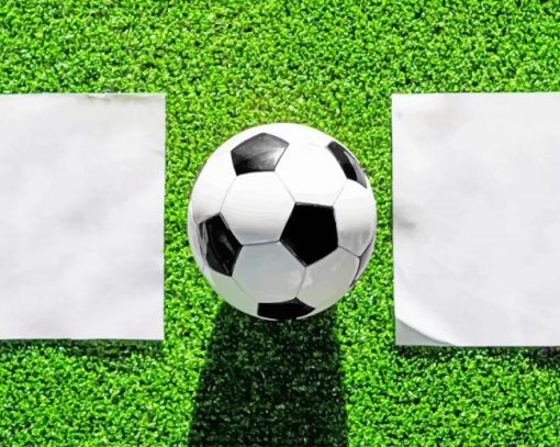 White Soccer Ball On Green Grass painting by numbers