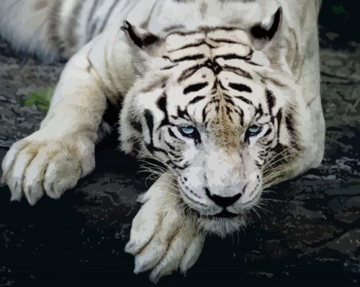 White Tiger paint by number