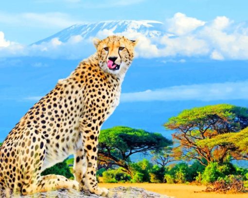 african cheetah painting by numbers