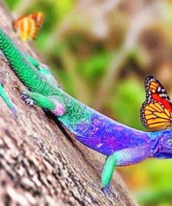 Butterfly On A Lizard paint by numbers