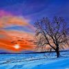 Winter Beautiful Sunset paint by number