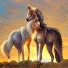 Wolf And Horse At Sunset paint by numbers