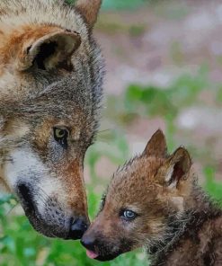 Wolf Mother And Her Baby paint by numbers