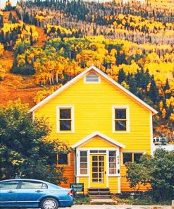 Yellow House Forest paint by numbers