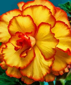 Yellow Orange Carnation paint by numbers