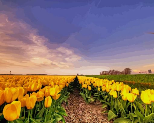 Yellow Tulip Field paint by number