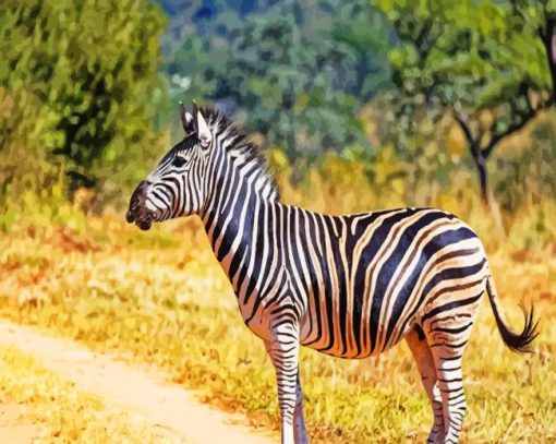 zebra animal paint by numbers
