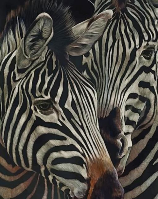 Zebra Animals paint by numbers