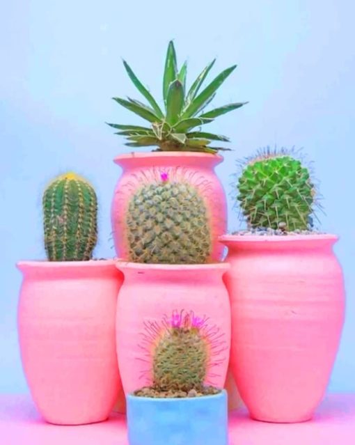 Aesthetic Cactus paint by numbers