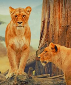 African Lioness paint by numbers