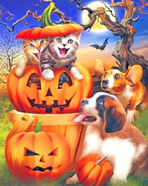 Animals Halloween paint by numbers