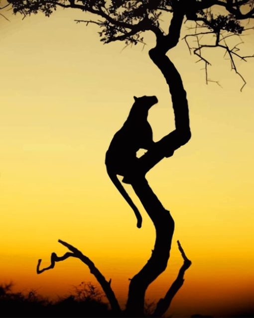 Big Cat Silhouette Sundown paint by numbers
