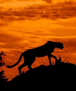 Big Cat Cheetah Silhouette paint by numbers