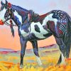 Black And White Horse paint by numbers