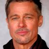 Brad Pitt painting by numbers