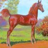 Brown Royal Horse paint by numbers
