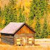 Brown Wooden Cabin In Farm paint by numbers