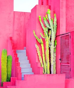 Cactus And Pink Wall Architecture paint by numbers