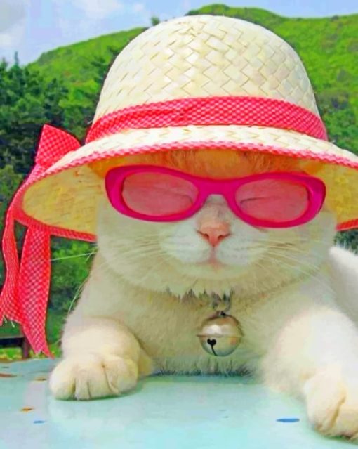 Cat With Sunglasses And Hat paint by numbers
