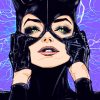 Cat Woman paint by numbers