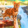 Cat In Athabasca Falls paint by numbers