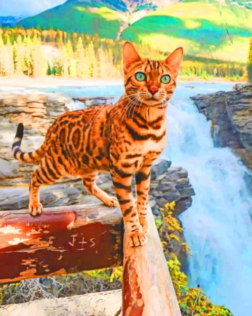 Cat In Athabasca Falls paint by numbers