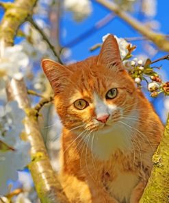 Orange Cat On A Tree paint by numbers