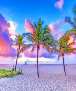 Coconut Trees At Pompano Beach paint by numbers