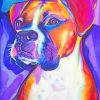 Colored Boxer Dog paint by numbers