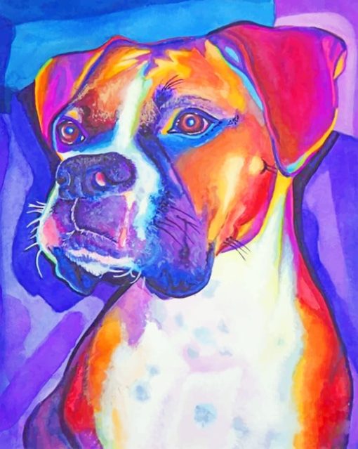 Colored Boxer Dog paint by numbers
