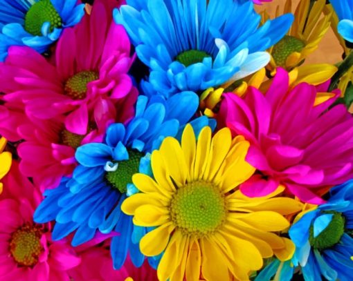 Colorful Daisies painting by numbers