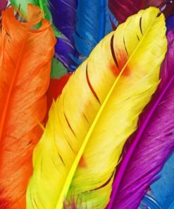 Colorful Feathers painting by numbers