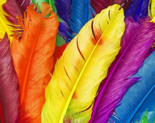 Colorful Feathers painting by numbers
