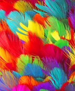 Colorful Feathers paint by numbers
