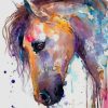 Colorful Watercolor Horse paint by numbers