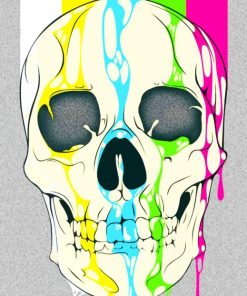 Colors Splash Skull paint by numbers