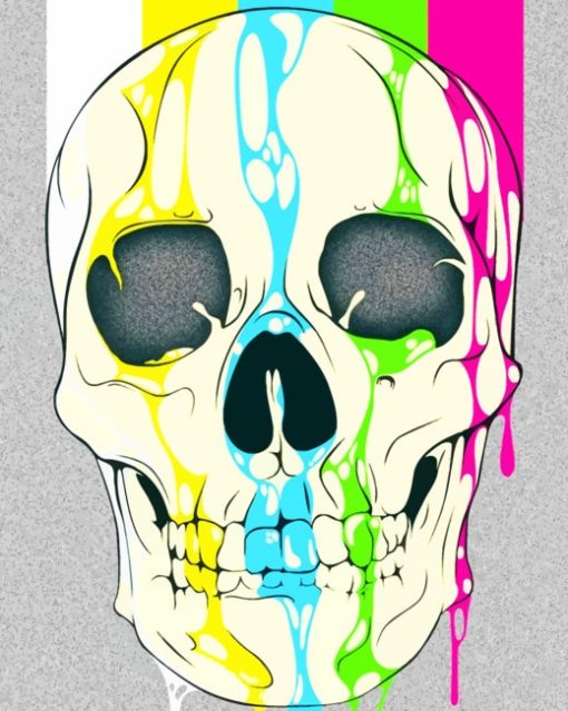 Colors Splash Skull paint by numbers