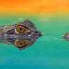 Crocodile's Eye painting by numbers